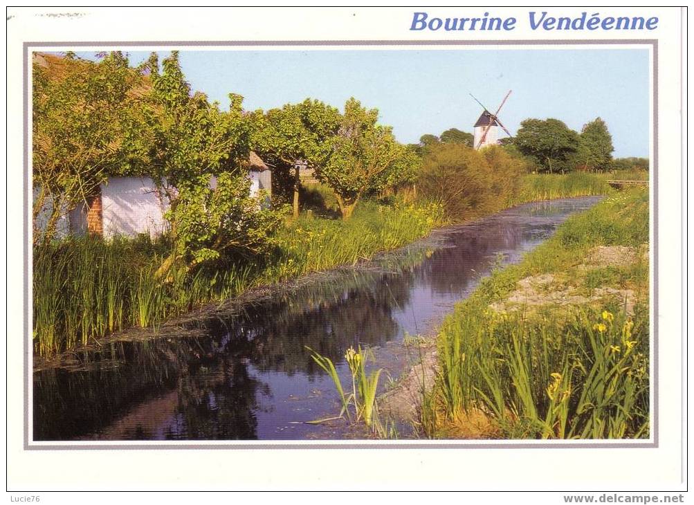 BOURRINE VENDEENNE   - Moulin  -    N° 145 - Poitou-Charentes