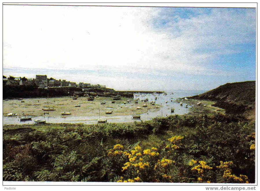 Carte Postale 29 Du Conquet - Le Port à Marée Basse - Le Conquet