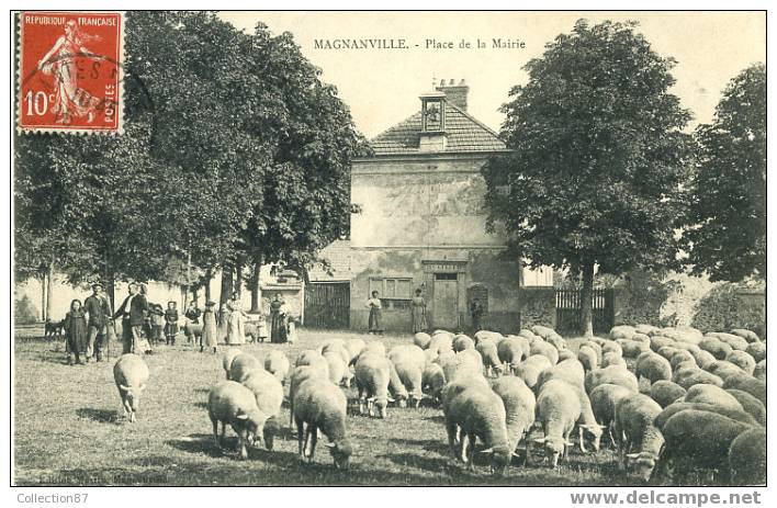 78 - YVELINES - MAGNANVILLE - PLACE De La MAIRIE - BERGER Et Ses MOUTONS - BELLE ANIMATION - EDIT. MARTIN - Magnanville