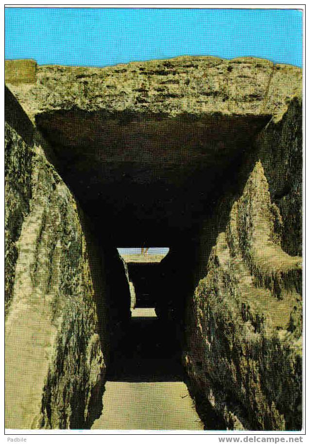 Carte Postale De Provence - Le Pont Du Gard, Le Canal Conducteur Des Eaux - Languedoc-Roussillon