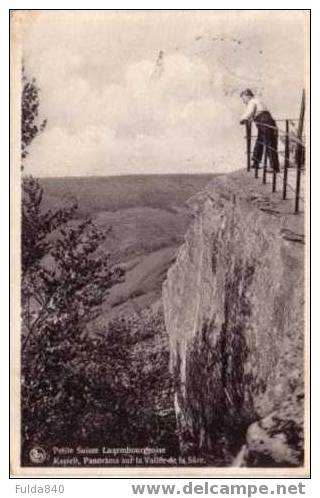 CPA.  PETITE SUISSE LUXEMBOURGEOISE.  Panorama Sur La Vallée De La Sûre.  1932.  (animée) - Esch-Sauer