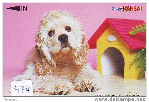 DOG HOND CHIEN HUND CANE PERRO CÃO Op Telefoonkaart Phonecard (474) - Chiens
