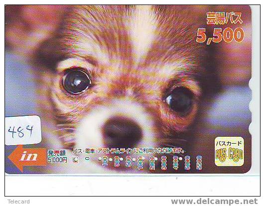 DOG HOND CHIEN HUND CANE PERRO CÃO Op Telefoonkaart Phonecard (484) - Chiens