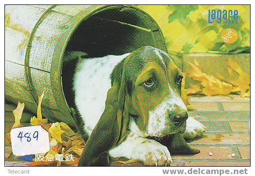 CHIEN BULDOG HOND DOG  HUND CANE PERRO CÃO Sur Telecarte Phonecard (489) - Chiens