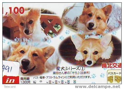 CHIEN BULDOG HOND DOG  HUND CANE PERRO CÃO Sur Telecarte Phonecard (491) - Chiens