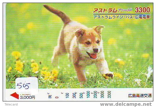 HOND BASSET DOG CHIEN HUND CANE PERRO CÃO Op Telefoonkaart Phonecard (505) - Chiens