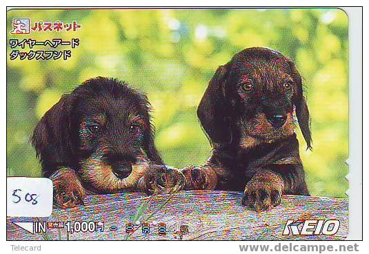 CHIEN BULDOG HOND DOG  HUND CANE PERRO CÃO Sur Telecarte Phonecard (508) - Chiens