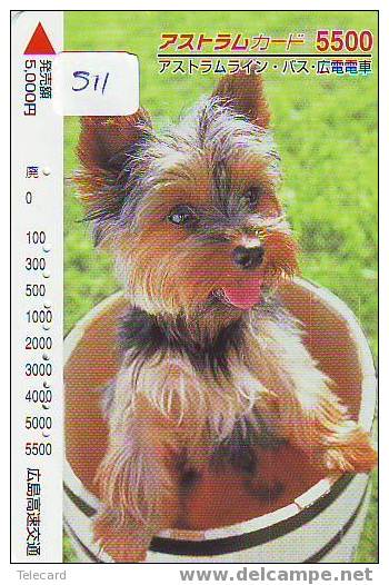 DOG HOND CHIEN HUND CANE PERRO CÃO Op Telefoonkaart Phonecard (511) - Chiens