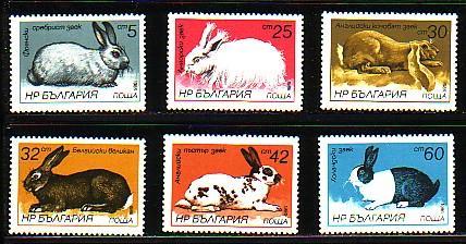 BULGARIA \ BULGARIE - 1986 - Rabbits - 6v** Perf - Conejos