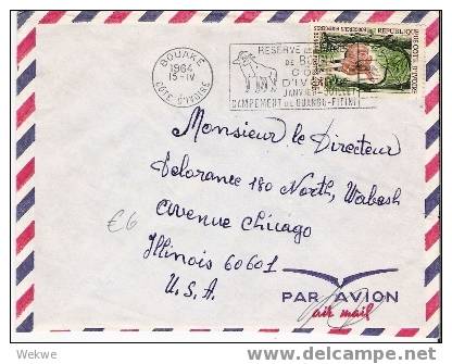 Faf087/ COTE DíVORE - Luftpost Nach USA 1964 – Antílope Im Stempel Und Auf Marke - Côte D'Ivoire (1960-...)