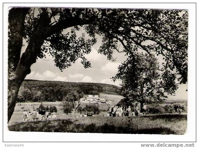 FERRETTE  ( HAUT - RHIN ) /  COLONIE  DE  VACANCES  "JOIE Et SANTE" ( Belle Animation ! ) /  OEUVRE  DON  BOSCO - Ferrette