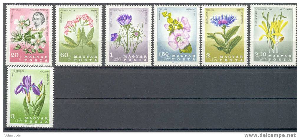 Ungheria - Serie Completa Nuova: 6 Centenario Del Botanico Kitaibel: Fiori Diversi - 1967 - Nuovi