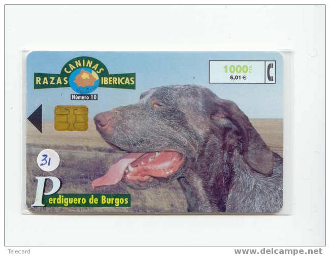 HOND DOG CHIEN HUND CANE PERRO CÃO Op Telefoonkaart Phonecard (31) - Chiens