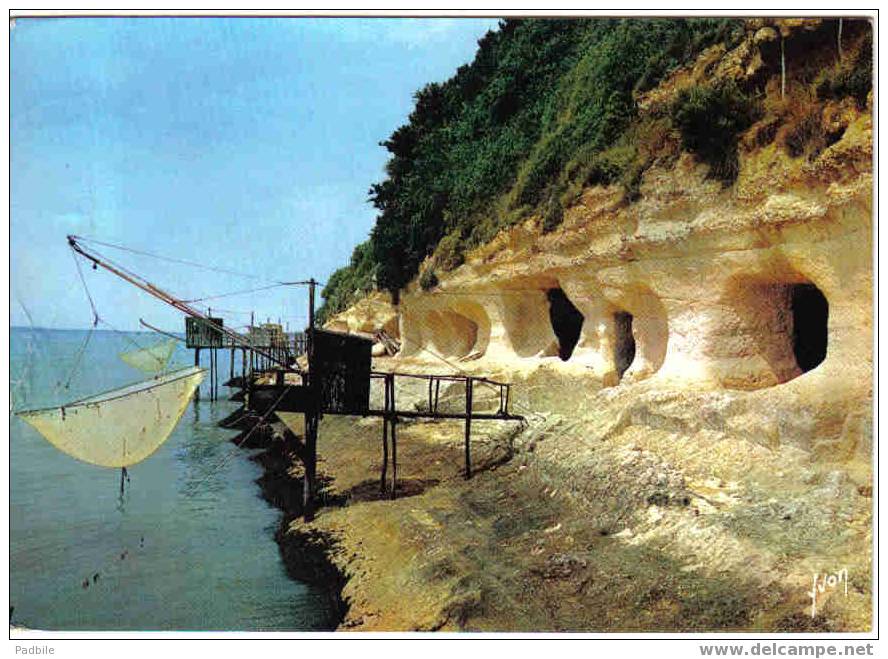 Carte Postale  17.  Meschers  Pêche Au Carrelet Devant Les Grottes - Meschers