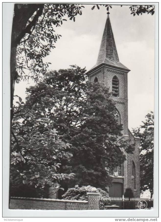 Horebeke - Geuzenhoek - De Nieuwe Kerk Van 1872 - Echte Foto Postkaart Nels - Horebeke