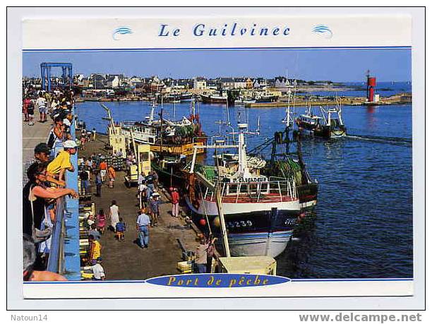 Cpm Le Guilvinec, Port De Pêche, Retour De Pêche, Carte Animée - Guilvinec