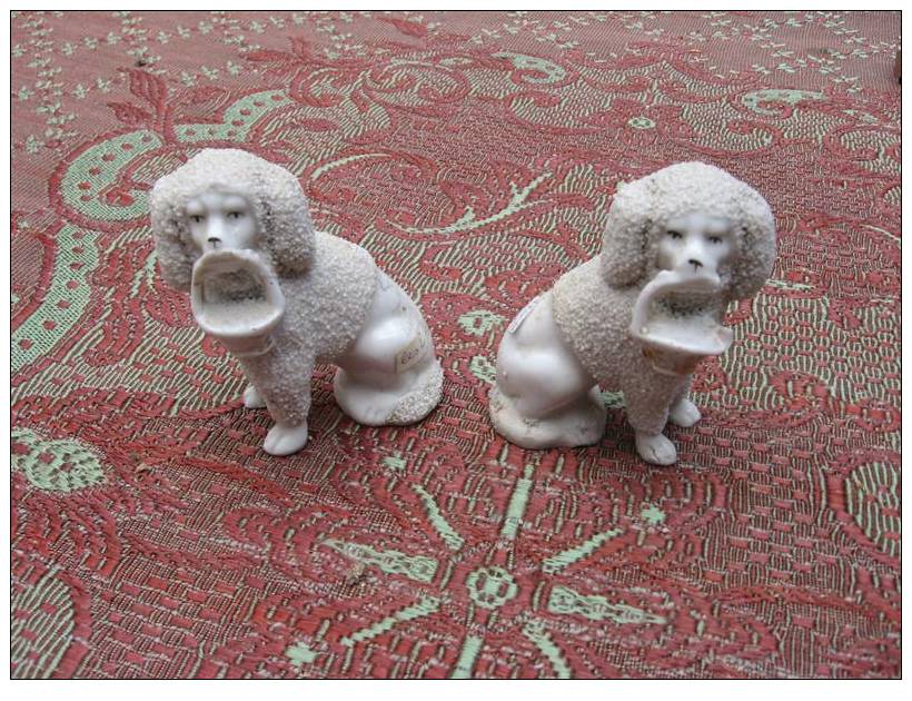 Caniche Chien Porcelaine - Cani