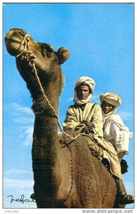 Algerie Pittoresque - Rencontre Au Désert - Hommes