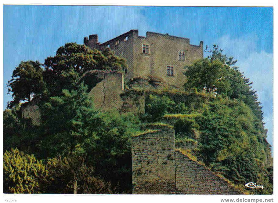 Carte Postale 38 De Crémieu - Le Château Delphinal - Crémieu
