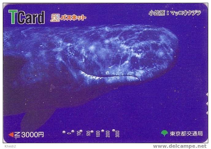 Carte Prépayée Japon - Animal Mammifère Marin BALEINE - WHALE Animals Japan Prepaid Card WAL Tier - 09 - Delfines