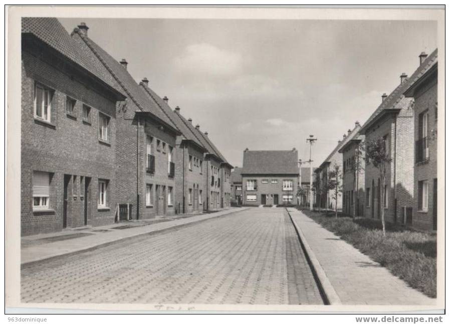 Zele - Burgemeester Van Ackerwijk - Foto E. De Smet  Uitgave G. De Vriendt - Echte Foto - Zele