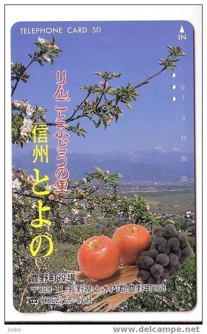 WINE - Vin - Wein - Vino * - Grape - Grapes - De Raisin - Wineyards  ( Japan ) - Lebensmittel