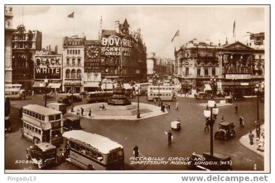 Piccadilly Circus Publicités Alcool Wisky Black And White...Autobus - Piccadilly Circus