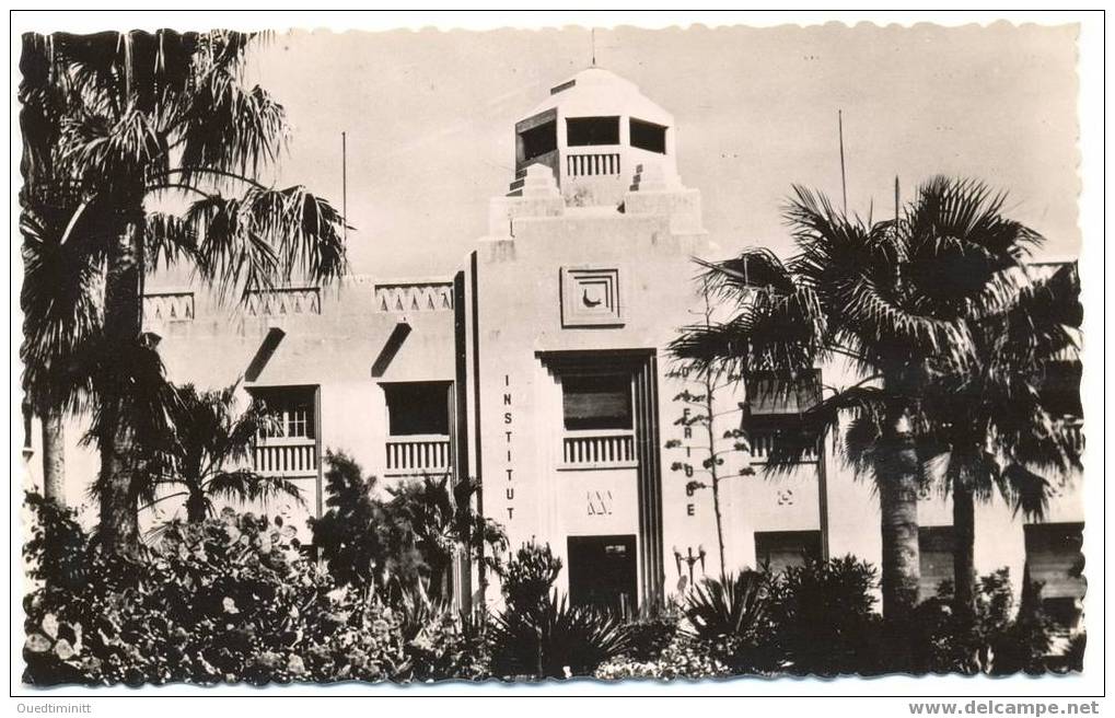 Sénégal.Dakar.Belle Cpsm Dent.Institut D'Afrique Noire.IFAN. - Mauritanie