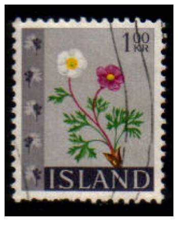 ICELAND   Scott: # 364   VF USED - Used Stamps