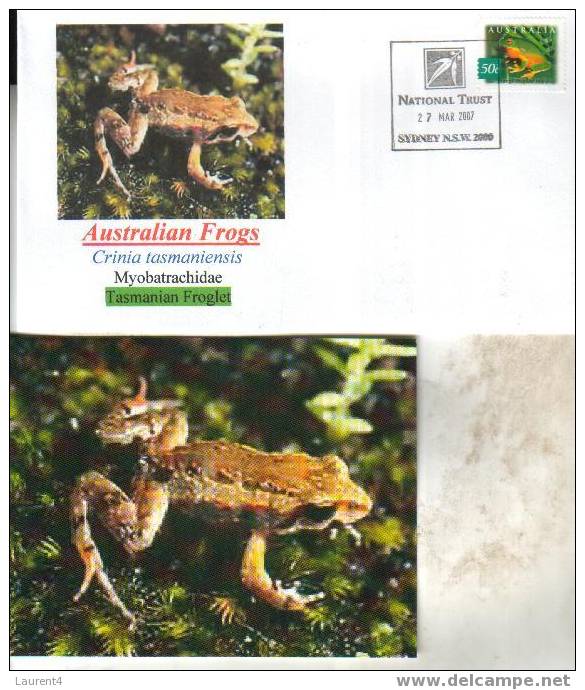 Frog Postcard + Cover – Carte Postale De Grenouille – Froschpostkarte - Tarjeta Postal De Rana - Cartolina Di Rana - Rane