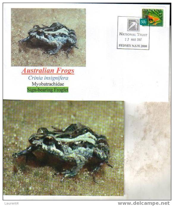 Frog Postcard + Cover – Carte Postale De Grenouille – Froschpostkarte - Tarjeta Postal De Rana - Cartolina Di Rana - Rane