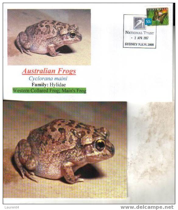 Frog Postcard + Cover – Carte Postale De Grenouille – Froschpostkarte - Tarjeta Postal De Rana - Cartolina Di Rana - Ranas