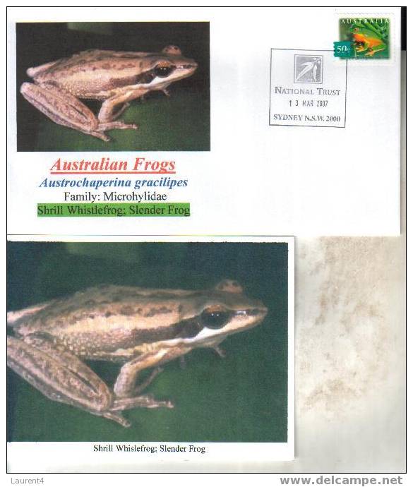 Frog Postcard + Cover – Carte Postale De Grenouille – Froschpostkarte - Tarjeta Postal De Rana - Cartolina Di Rana - Rane