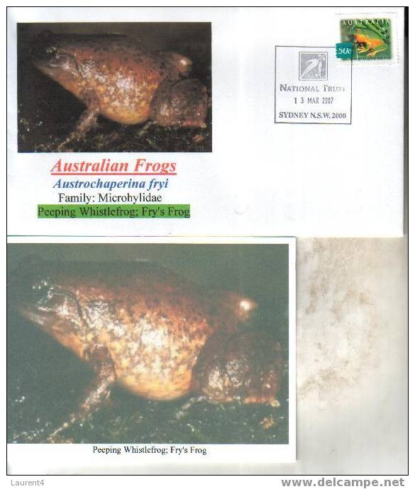 Frog Postcard + Cover – Carte Postale De Grenouille – Froschpostkarte - Tarjeta Postal De Rana - Cartolina Di Rana - Rane