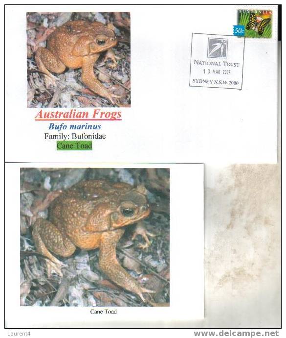 Frog Postcard + Cover – Carte Postale De Grenouille – Froschpostkarte - Tarjeta Postal De Rana - Cartolina Di Rana - Rane