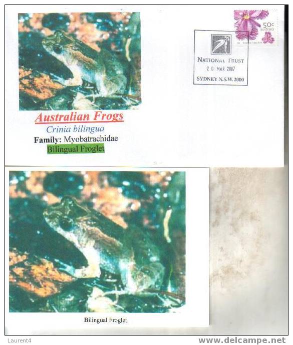 Frog Postcard + Cover – Carte Postale De Grenouille – Froschpostkarte - Tarjeta Postal De Rana - Cartolina Di Rana - Grenouilles