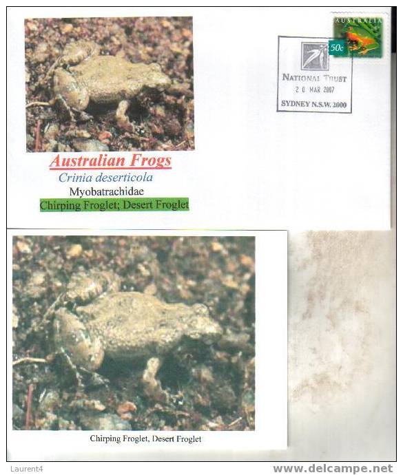 Frog Postcard + Cover – Carte Postale De Grenouille – Froschpostkarte - Tarjeta Postal De Rana - Cartolina Di Rana - Rane