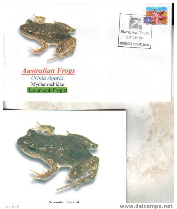 Frog Postcard + Cover – Carte Postale De Grenouille – Froschpostkarte - Tarjeta Postal De Rana - Cartolina Di Rana - Frösche