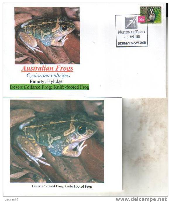 Frog Postcard + Cover – Carte Postale De Grenouille – Froschpostkarte - Tarjeta Postal De Rana - Cartolina Di Rana - Frösche