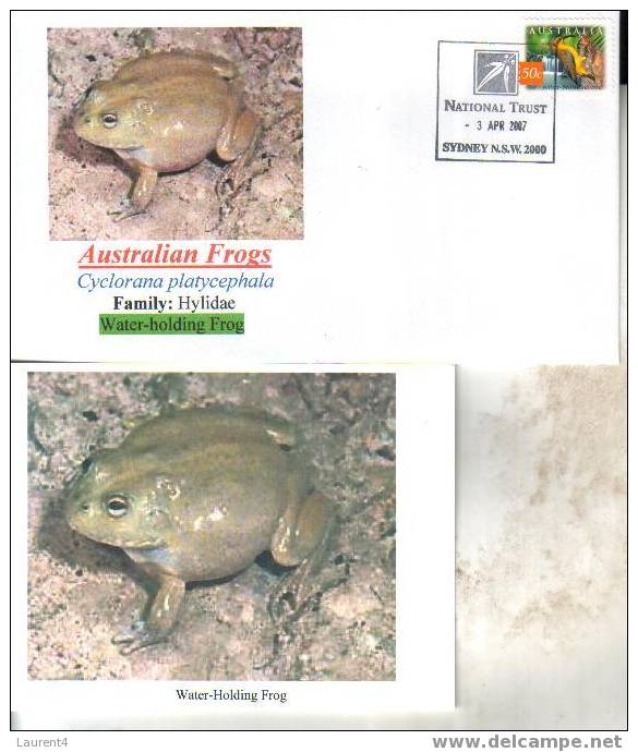 Frog Postcard + Cover – Carte Postale De Grenouille – Froschpostkarte - Tarjeta Postal De Rana - Cartolina Di Rana - Grenouilles