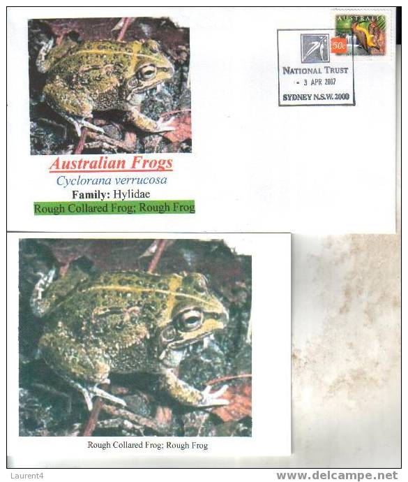 Frog Postcard + Cover – Carte Postale De Grenouille – Froschpostkarte - Tarjeta Postal De Rana - Cartolina Di Rana - Ranas