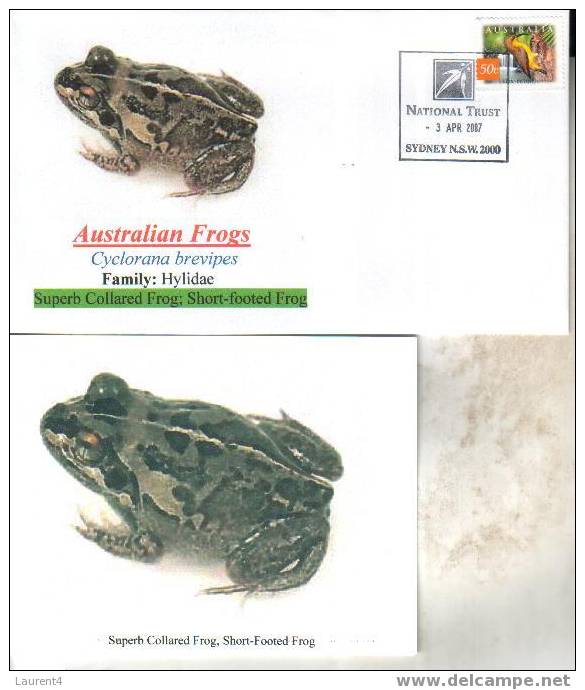 Frog Postcard + Cover – Carte Postale De Grenouille – Froschpostkarte - Tarjeta Postal De Rana - Cartolina Di Rana - Kikkers