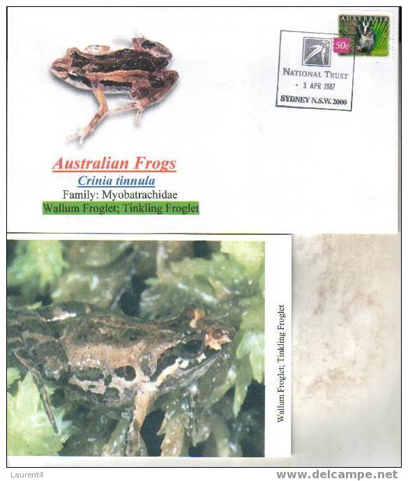Frog Postcard + Cover – Carte Postale De Grenouille – Froschpostkarte - Tarjeta Postal De Rana - Cartolina Di Rana - Rane