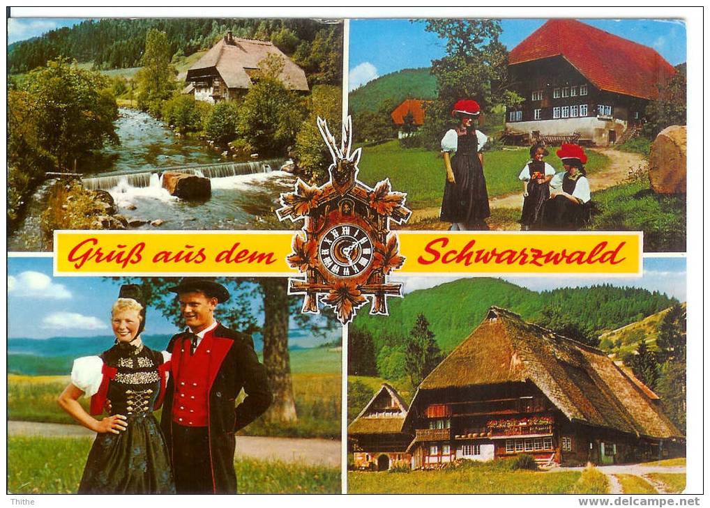 Grüb Aüs Dem SCHWARZWALD - Hochschwarzwald