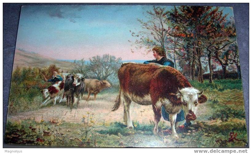 Cows, Cattle, Vintage Postcard, Stengel, Signatured - Viehzucht