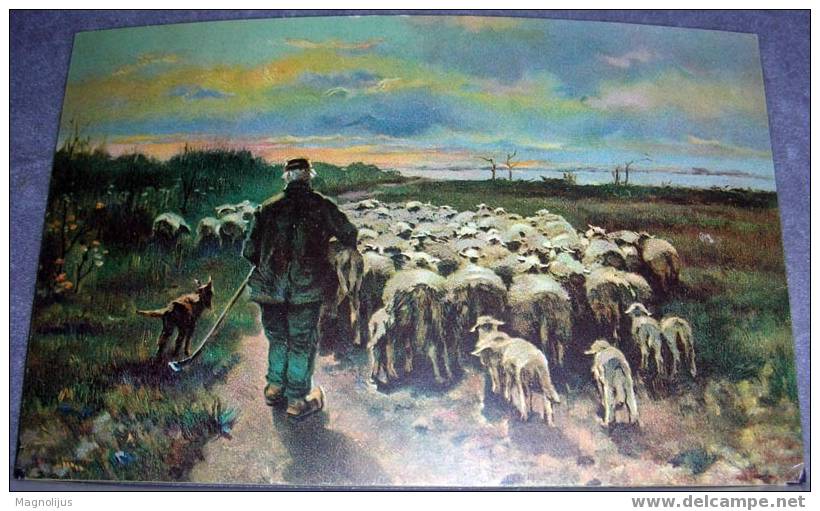 Sheeps, Shepherd, Cattle, Stengel, Vintage Postcard - Elevage