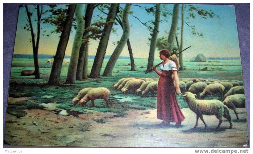 Sheeps, Shepherd, Cattle, Stengel, Vintage Postcard - Allevamenti