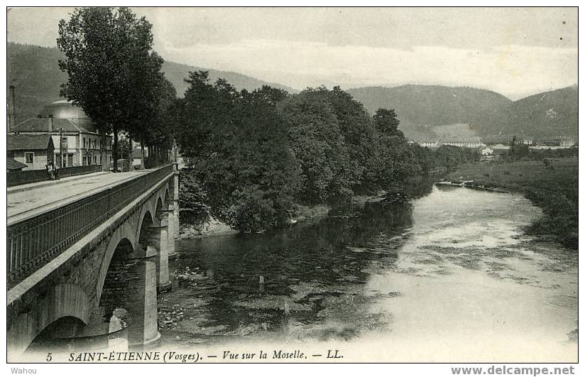 SAINT-ETIENNE   (Vosges)   -   Vue Sur La Moselle - Saint Etienne De Remiremont