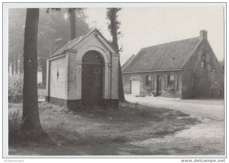 Beernem St Joris - Oude Kapel In De Kasteeldreef - Beernem