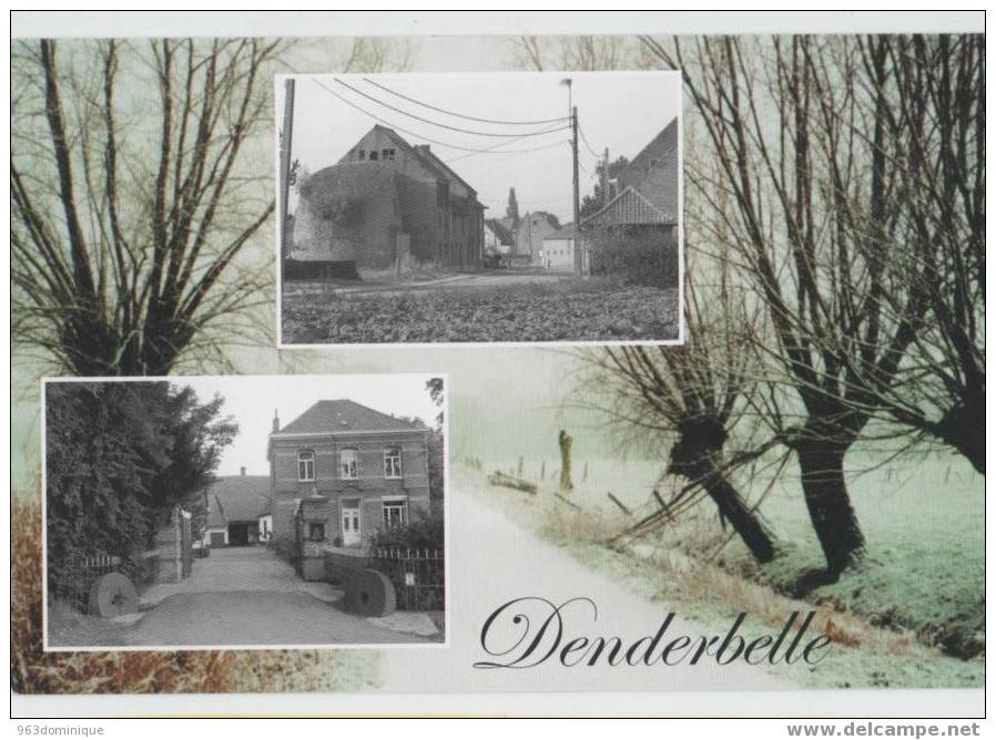 Denderbelle  - De Molen En De Abdijhoeve (Lebbeke) - Lebbeke